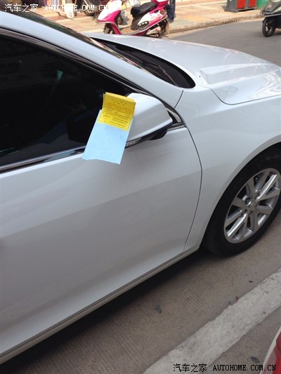 克莱拉与熊的秘密