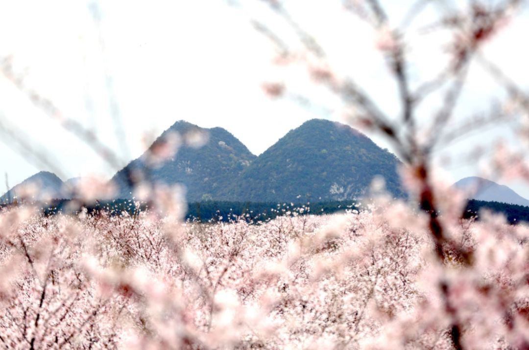 兰开斯特的天空