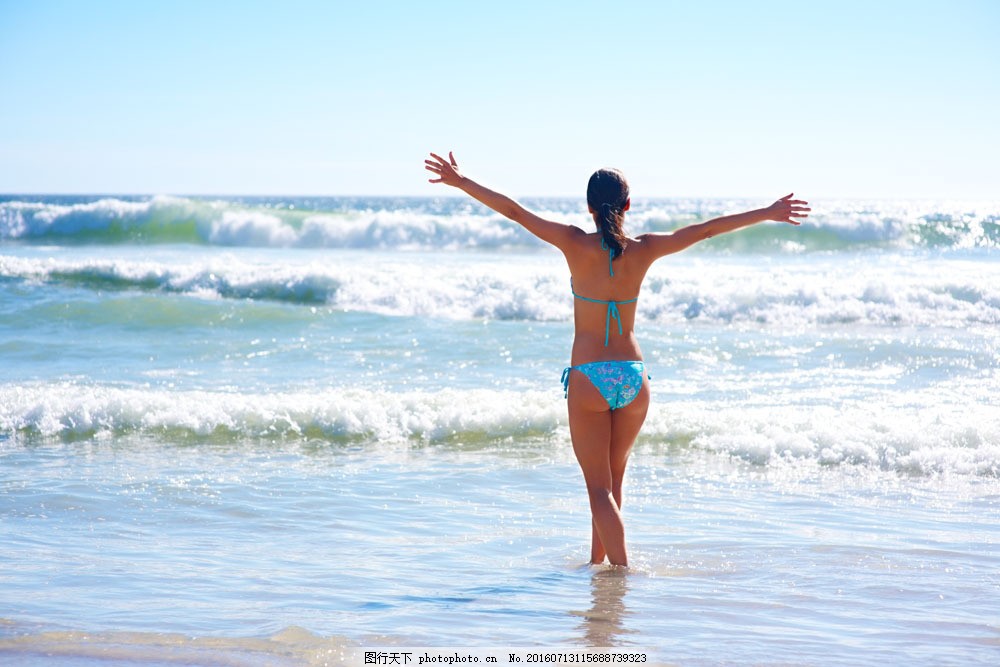 公鸡母鸡拖拉机