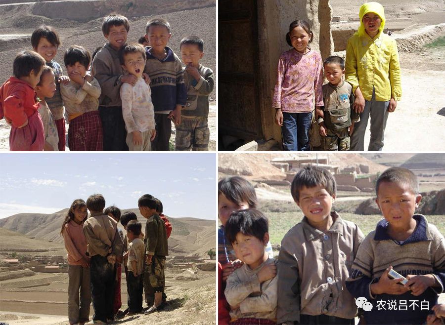 克莱尔·达林的最后疯狂