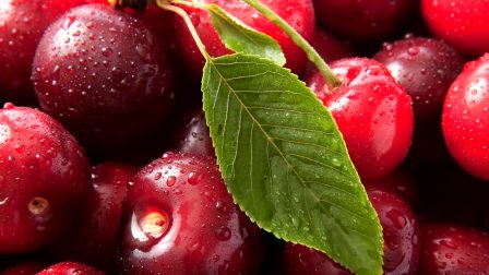 兴安岭猎人传说2