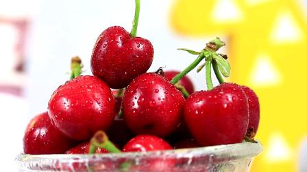 兴安岭猎人传说2