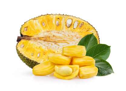 养蜂人 （英语版）