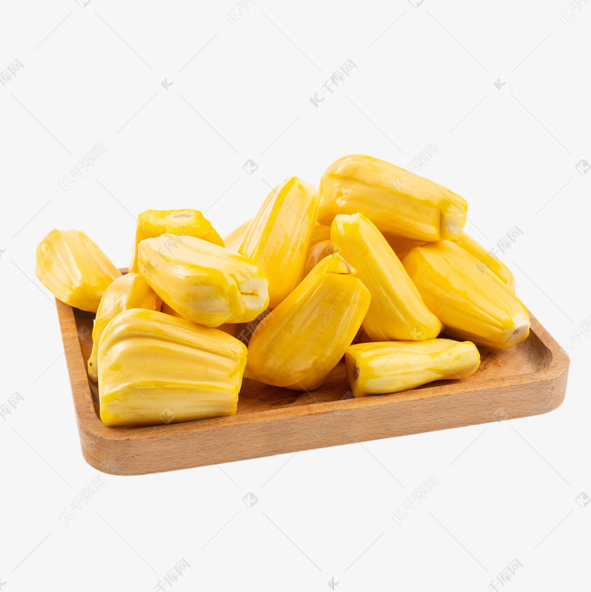 克莱拉与熊的秘密