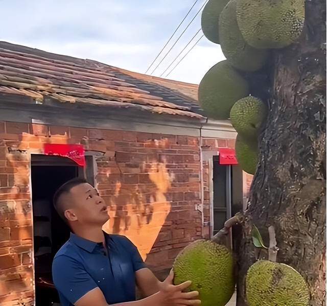 六扇门之御前盗圣