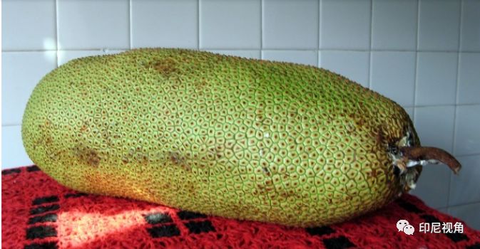 八十九分之一的凶手